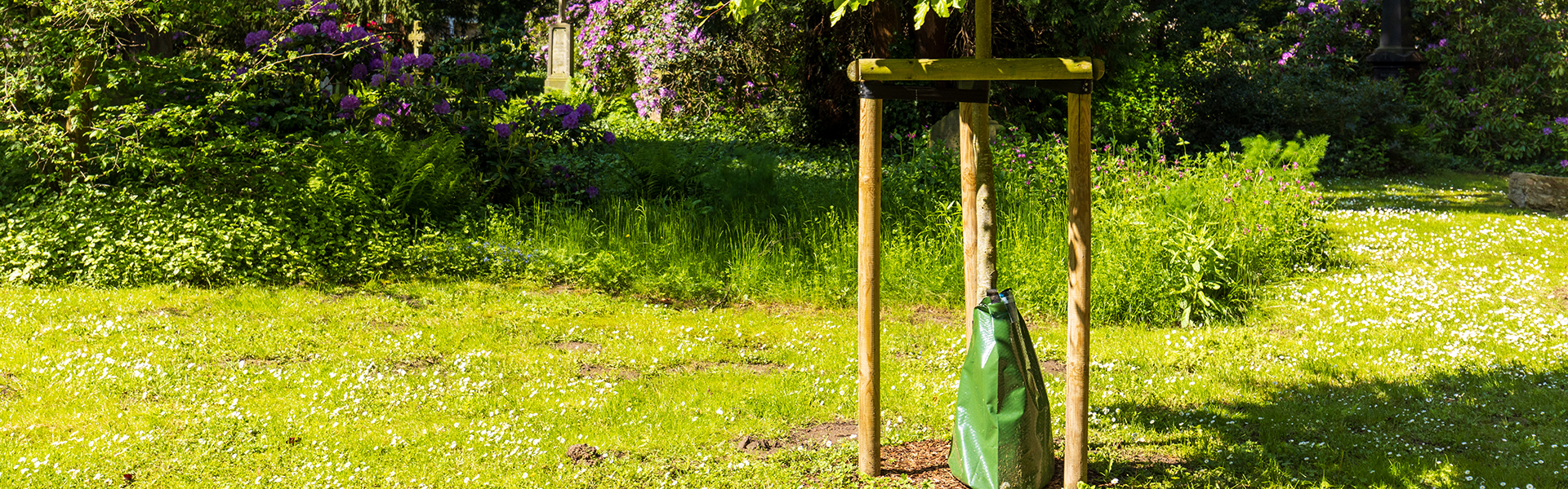 Grüner Baumbewässerungssack an einem jungen Baum zur gleichmäßigen Bewässerung